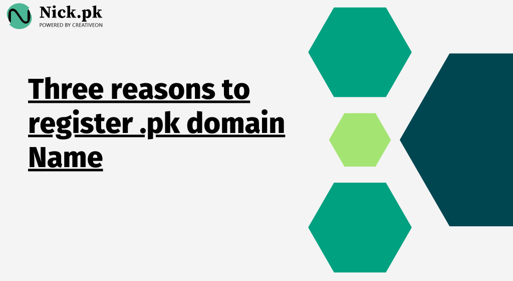 Three reasons to register .pk domain Name